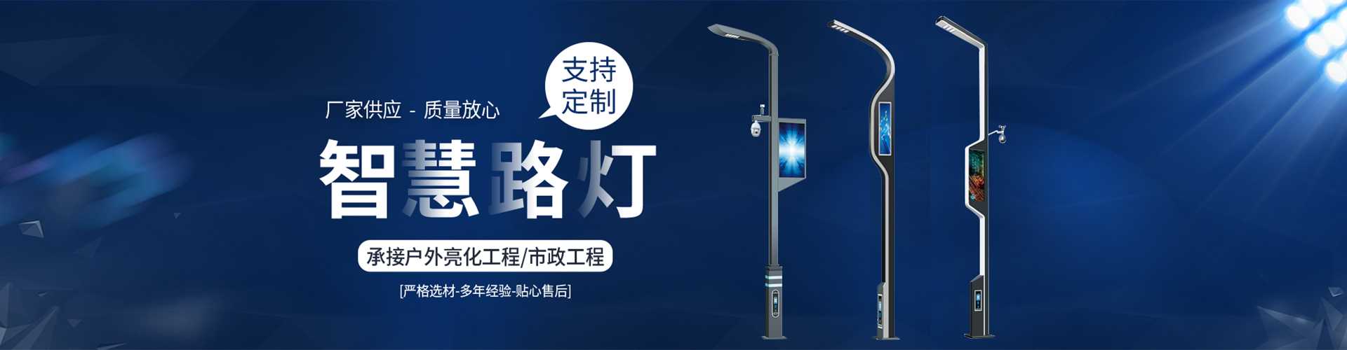 龙城区太阳能路灯定制厂家
