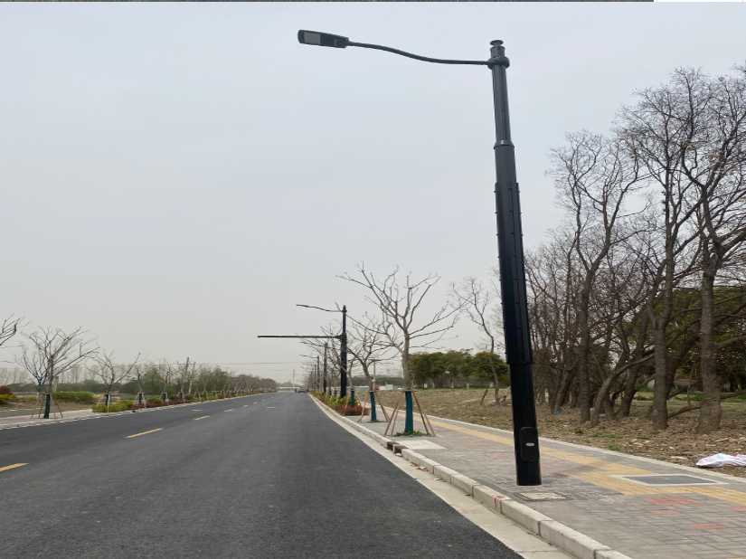 龙城区上海综合杆 太阳能路灯工程